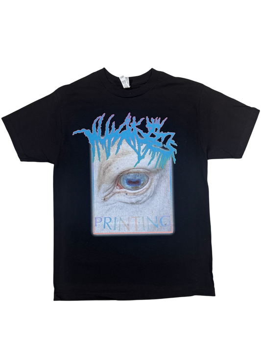 Pegasus of Insanity T Shirt